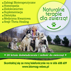 Terapie dla zwierząt-naturalny sposob na kleszcze sprawdzony Terapie dla zwierząt-naturalny sposob na kleszcze sprawdzony