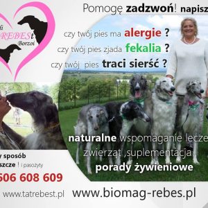 Uzdrawianie zwierząt